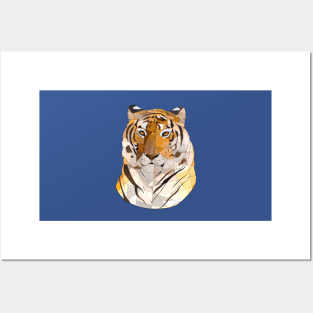 Tiger Posters and Art